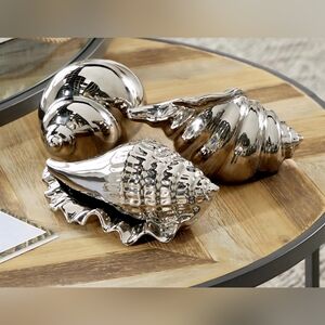 Silver Decorative Seashell Set